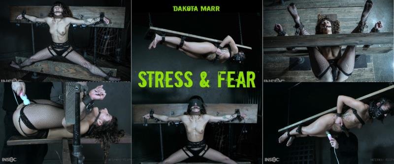 Bdsm Porn On The Phone Infernalrestraints Presents Dakota Marr Stress