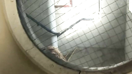 Carmel Moore, Tony James - Carmel Moore Takes Both a Facial and a Creampie in This Hardcore Scene (2025 | SD)