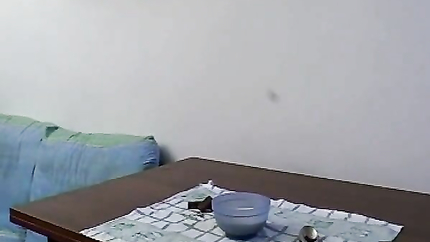 Family vices in perverse and obscene games (2025 | SD)