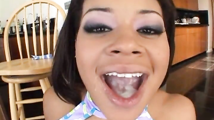 Michael Stefano's Nasty Tales - (The Original uncut) (2025 | SD)