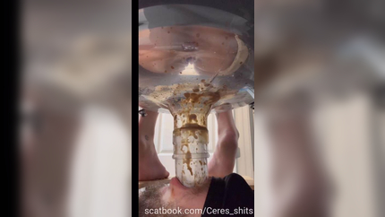 A Day of Shitting Down My Toilet's Throat P1 (2025 | SD)