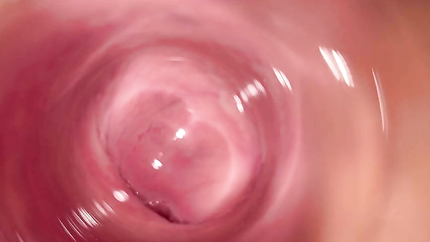 The hottest pussy spreading and internal camera in Mia's creamy vagina (2026 | SD)