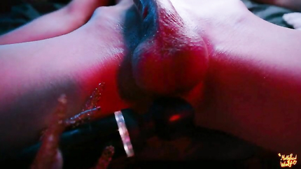 Wild Wolf Is Testing You. Try Not to Cum - Mollyredwolf (2026 | SD)