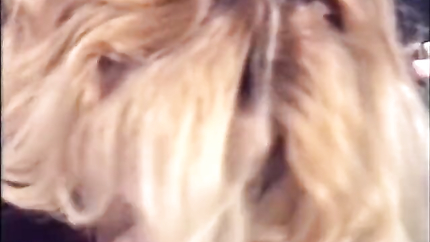 Renee Summers - Beautiful Pregnant Bitch Wants To Fuck! (2026 | SD)