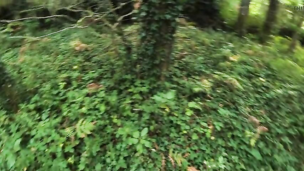 I see a girl cycling in the woods and when I go to urinate she helps me by giving me a blowjob in public (2026 | SD)