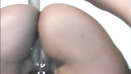 Kelly Star, Skyy Black, Mr. Pete - White stud pleases two Ebony bitches (2026 | SD)