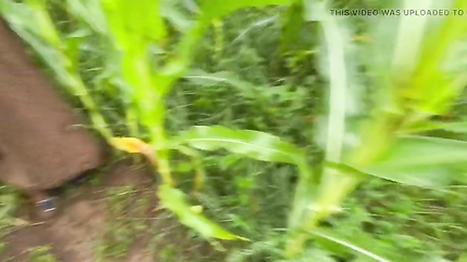 The brother-in-law went to the field with the sister-in-law and showed her tight (2026 | SD)