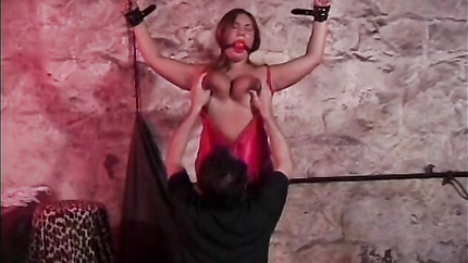 A sexy brunette is hanging with huge tits busting out (2026 | SD)