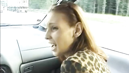 blowjob during the car driving (2026 | SD)