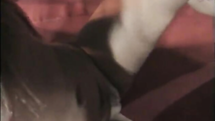 Look how many cocks the blond slut can fuck (2026 | SD)