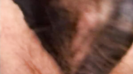 Brunette lady gets fucked by a young man with big cock (2026 | SD)