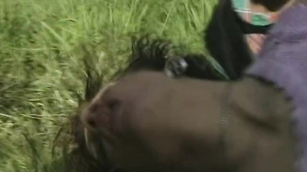 MILF Gets It Hard in the Butt Hole (2026 | SD)
