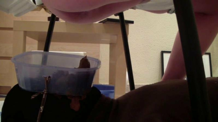 6 Cute Teens Shit on the Face of Their Toilet Slave P1 (2025 | SD)