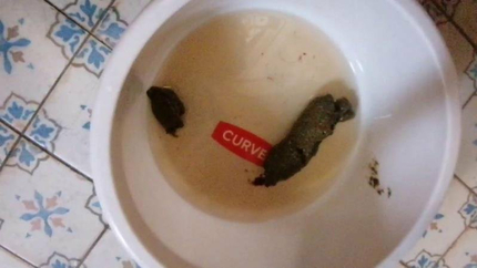 Bitchs Meal Shit P1 (2025 | HD)