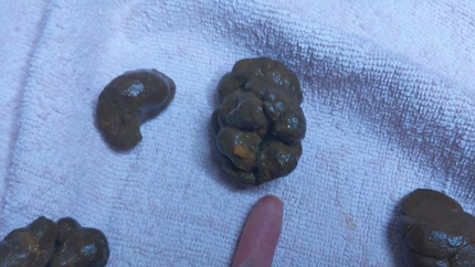 Wank to my extreme close ups of my shit - PooGirlSofia (2021 | FullHD | Scatshop)