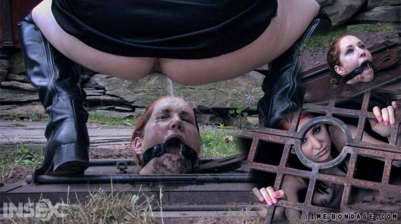 RealTimeBondage presents Calico, Sister Dee - Ice Pony I ( | )