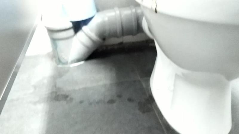 Diarhea and pee in WC - nastygirl (2021 | FullHD | Scatshop)