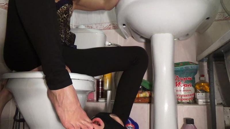 Emily scat living toilet - Mistress Emily (2021 | FullHD)