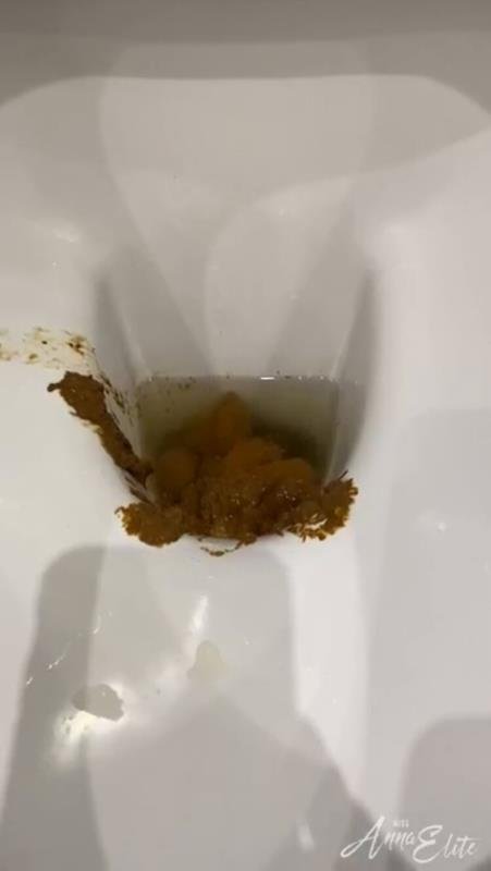 A big pile of shit in the toilet. P1 (2024 | HD)