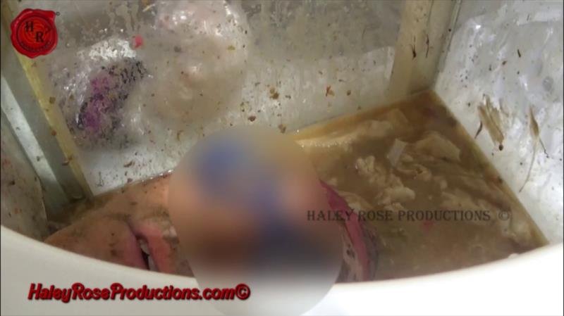 Haley Rose Productions - 12 Hours Locked in Toilet Box Part 2 (2025 | FullHD)